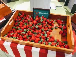 -幻贝家儿童乐园(苏州中心店)