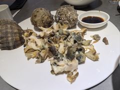 -魚當家