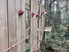 -芦仙山景区-飞越丛林探险乐园