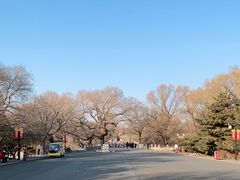 -北陵公园