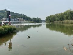 -河北省园博园