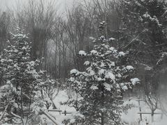 -长白山万达锦华套房酒店