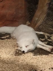 -Zoolung Zoolung动物主题公园(海信广场店)