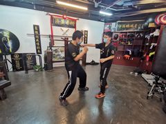 -温鉴良实用咏春拳