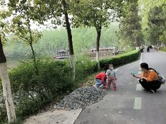 -合肥滨湖国家森林公园