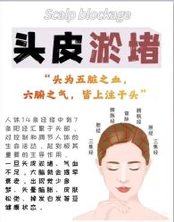 -希梵尔头皮抗衰·科技养发