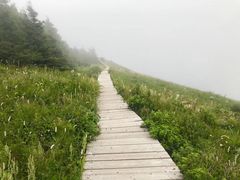 -白草畔自然风景区