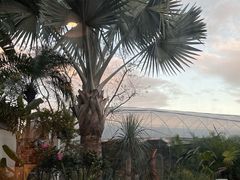 -自由生长植物工作室(深港花卉中心店)