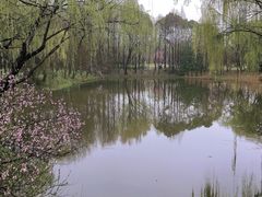 -自然谷恐龙园