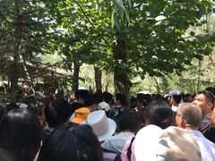 -泰安地下龙宫景区