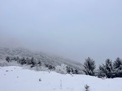 -太子岭滑雪场