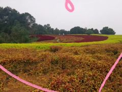 -保利石象湖景区