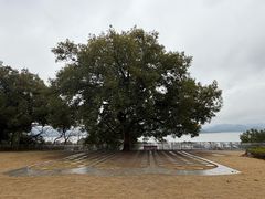 -东钱湖旅游度假区