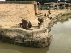 -东莞香市动物园