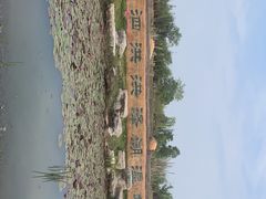 -泗洪洪泽湖湿地景区