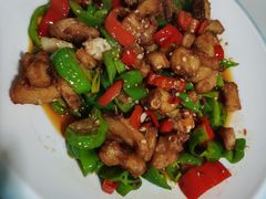 -煲来饱去冷水鱼