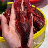 长春这家小龙虾店，在我心里没有对手！！