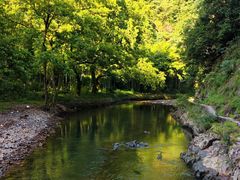 -水墨汀溪风景区