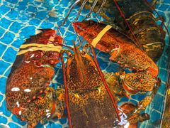 -良师门滨海人家·海鲜·家常菜(滨海城店)