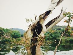-白马涧龙池景区