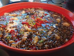 -初蓉丨遇见新川菜(亲贤街荣耀店)