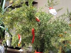 -7号里低糖生日蛋糕(南阳路店)