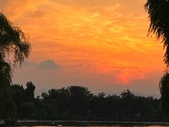 -后海公园