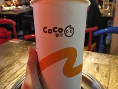 大红袍珍珠奶茶-CoCo都可(恒隆456店)