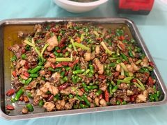 -铁山坪森林公园