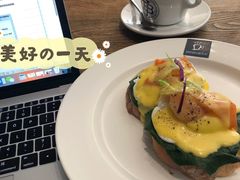 班尼迪克-JamaicaBlue(新城国际店)