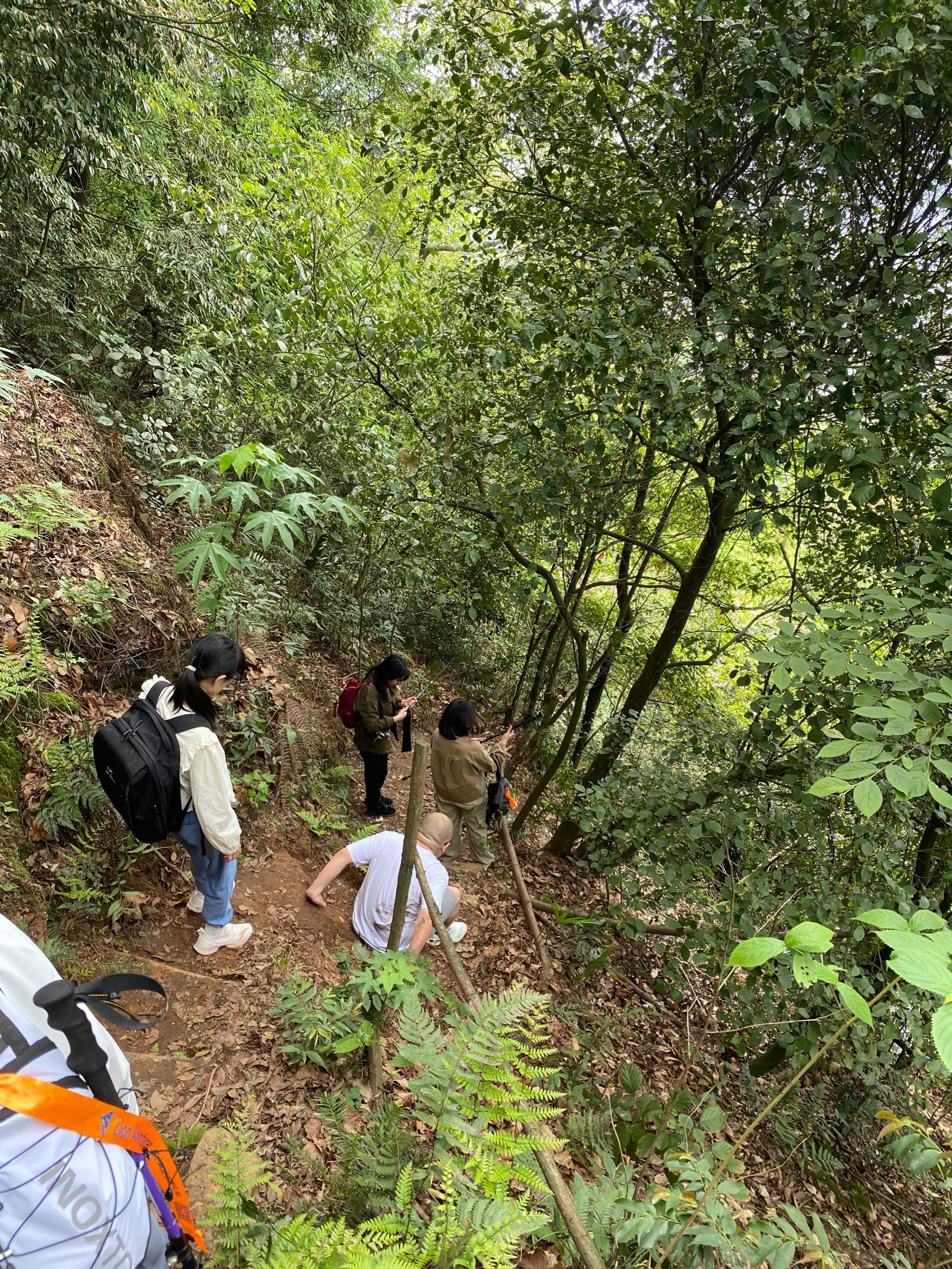 近郊徒步指南|手脚并用爬山穿林,太接地气啦7515