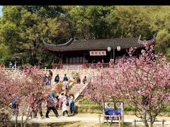 -苏州上方山国家森林公园
