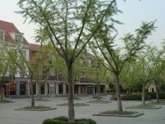 -美兰湖景区