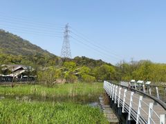 -西湖风景区-江洋畈生态公园