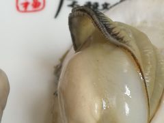 蒸海蛎子-景祥海鲜美食餐厅