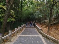 -灵岩山风景区