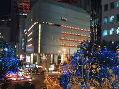 -蟹道乐(道顿堀本店)