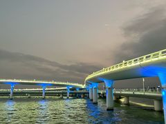 -演武大桥观景平台