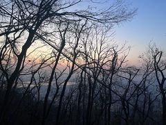 -紫金山山顶公园