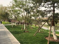 -西海子公园