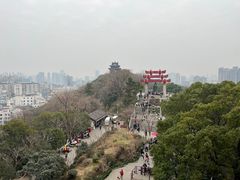 -黄鹤楼公园(黄鹤楼)