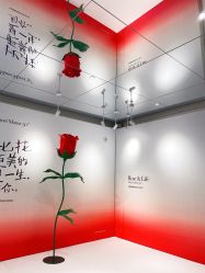 点击看大图 -帆拉斐婚纱摄影(春熙店)