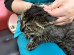 -瑞派天宁宠物医院·猫科·异宠中心