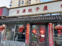 -宝源饺子(麦子店街店)