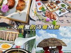 -莲花岛景区