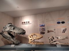 -自贡恐龙博物馆