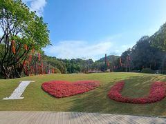 -云溪植物园