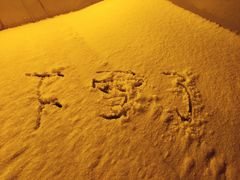 -东来顺铜锅炭火涮肉(上地华联店)