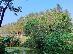 -艾溪湖湿地公园