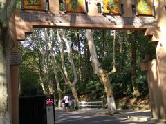 -灵谷景区